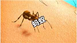 你知道蚂蚁是怎么咬你的吗