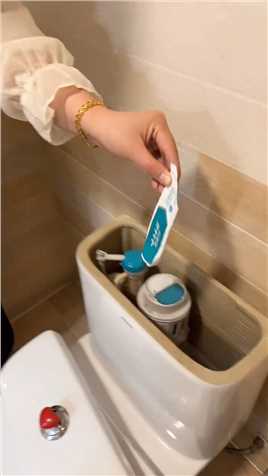 把你家不要的牙膏扔马桶里 #生活小技巧 #生活小窍门