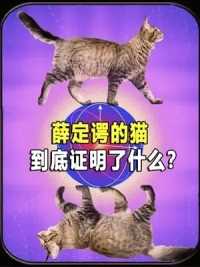 物理学四大神兽之薛定谔的猫，到底证明了什么道理？