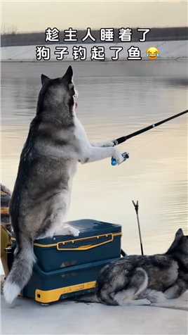 狗子：你是知道的，我钓鱼很专业的