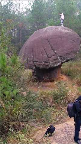 神奇的重庆蘑菇石，大自然的鬼斧神工，它上粗下细，头重脚轻，屹立在深山老林里千万年不倒，让人不禁感叹大自然的伟大和神奇！