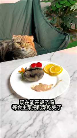 主菜在吃配菜！#猫咪 #萌宠 #仓鼠