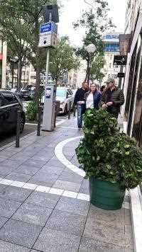 吓路人装扮成绿植，反应太真实，这真的不会挨揍吗？