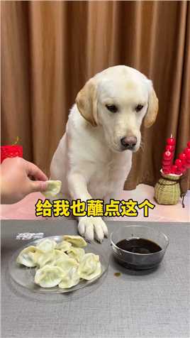 狗：这大过年谁家吃饺子不蘸醋呀？