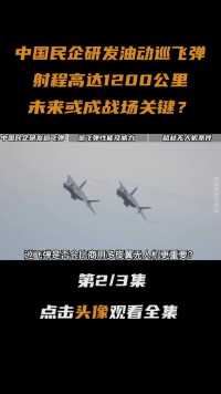中国民企研发油动巡飞弹，射程高达1200公里，未来或成战场关键？