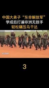 中国大弟子东非解放军，学成后打遍非洲无敌手，轻松碾压乌干达#坦桑尼亚#尼雷尔#石家庄陆军指挥学院 (3)