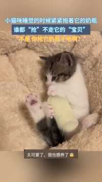小猫咪睡觉的时候紧紧抱着它的奶瓶，谁都“抢”不走它的“宝贝”。