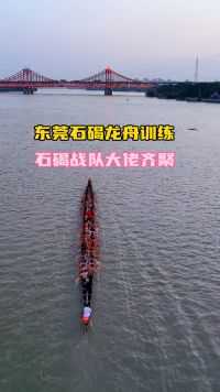 2024年东莞龙舟赛训练现场，今年的石碣镇15个村参加龙舟赛，于2024年6月23号在美丽的东江河畔展开一场速度与激情