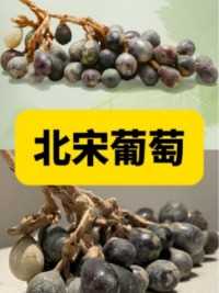 这串葡萄的卖相好差，可它是的！历经千年，葡萄为啥能保存到现在？