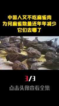中国人又不吃麻雀肉，为什么麻雀数量还年年减少，它们去哪了？ (3)