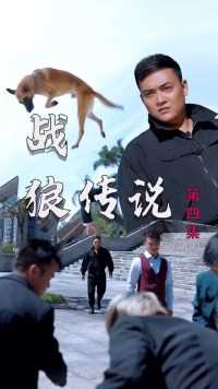 美女被欺负，马犬看不下去直接飞身扑倒坏人