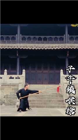武当子午锁喉枪 #弘扬中国传统武术文化 #传统武术 #武术