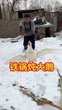 #记录我的农村生活 #铁锅炖大鹅 #东北下雪了 下雪天吃点啥？
