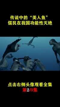 中国“美人鱼”功能性灭绝，人鱼善也被人欺，还有挽回的余地吗？#纪录片#美人鱼#海洋生物 (2)
