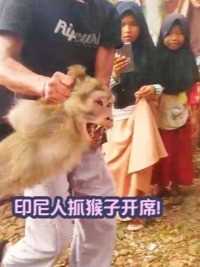 全村的印尼人抓猴子开席！世界的迷惑行为