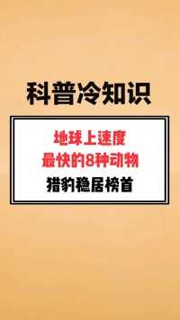 地球上速度最快的8种动物，猎豹稳居榜首！学生党冷知识动物