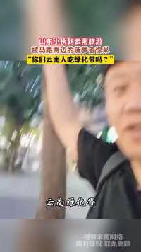 山东小伙到云南旅游，被马路两边的菠萝蜜惊呆，“你们云南人吃绿化带吗？”