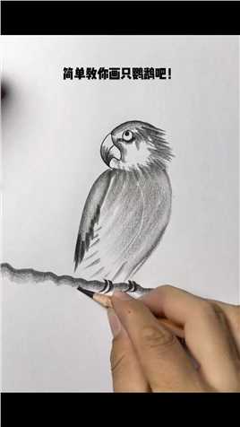 简单教你画只鹦鹉吧！