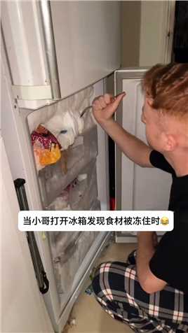 当小哥打开冰箱发现食材被冻住时 