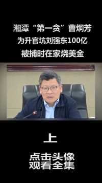 湘潭“第一贪”曹炯芳：为升官坑刘强东100亿，被捕时在家烧美金#曹炯芳 (1)
