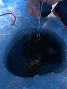 荒野垂钓：渔民在冰天雪地中凿冰洞钓帝王蟹！ 