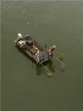 荒野垂钓：渔民使用新能源鱼竿来抓捕泛滥成灾的亚洲鲤鱼！