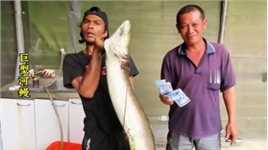 印尼小哥捕获一条巨型野生河鳗，当地华人花1000万印尼盾买下#河鳗#户外捕鱼