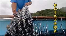 出海捕鱼：渔民用绝户网捕获十几万条鳀鱼，回收场面非常壮观！#户外捕鱼
