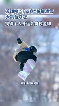 苏翊鸣“十四冬”单板滑雪大跳台夺冠，摘得个人冬运会首枚金牌