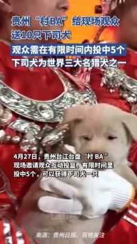 贵州“村BA”给现场观众送出10只下司犬，为世界三大名猎犬之一，现场观众排队投篮