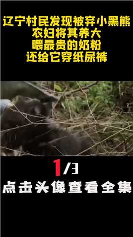 辽宁村民发现被弃小黑熊，农妇将其养大，喂最贵的奶粉还给它穿纸尿裤 (1)