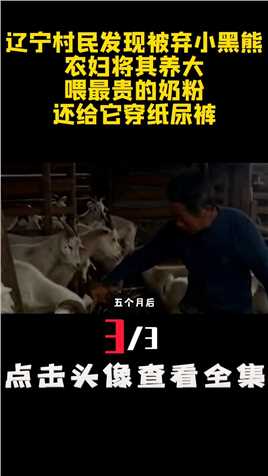 辽宁村民发现被弃小黑熊，农妇将其养大，喂最贵的奶粉还给它穿纸尿裤 (3)