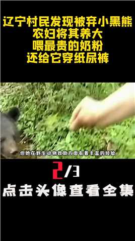 辽宁村民发现被弃小黑熊，农妇将其养大，喂最贵的奶粉还给它穿纸尿裤 (2)