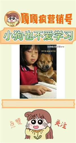狗狗：本汪好困，我也太难了吧！！ #狗狗的心思都写在脸上了 #这书读得有点费狗 #大数据推荐给有需要的人 