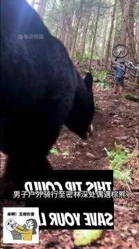 男子户外活动偶遇棕熊并遭受追击#野生动物零距离#动物世界