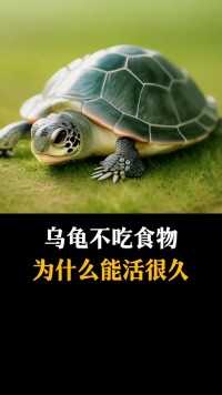 乌龟不吃食物
为什么能活很久