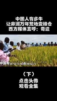 中国人有多牛？让非洲万年荒地变粮仓，西方媒体直呼：奇迹！#非洲生活#中国#粮仓 (3)