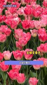 杭州 北京 新疆   @ 你的朋友，让他带你去感受春天吧～心动种草指南 旅行 #娱乐 