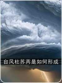 1. 超强台风杜苏芮为何会在福建晋江沿海登陆？#台风杜苏芮在晋江沿海登陆  第三集