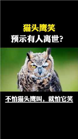 民间传言：猫头鹰一笑，意味着有人要离世，难道猫头鹰真的能预知死亡吗？ 