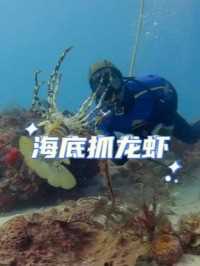 深海抓龙虾的有趣场景