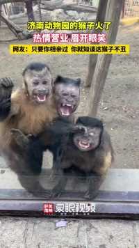 济南动物园的猴子火了，热情营业眉开眼笑！
