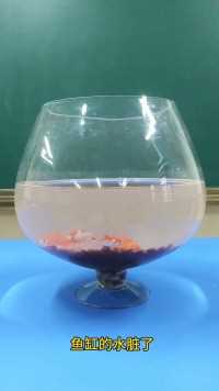 物理老师教你巧用物理规律给鱼缸换水，物理学的好，生活处处都有小妙招！
