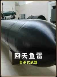 二战末期日本的奇葩杰作，昭和男儿最后的疯狂，自杀式回天鱼雷 #军事科普 #二战日本 #回天鱼雷 