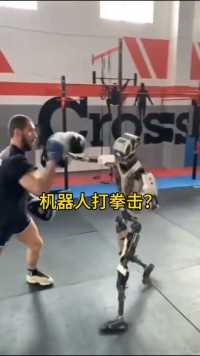 机器人也能打拳击了吗？