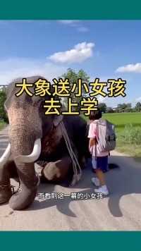 大象送小女孩上学！