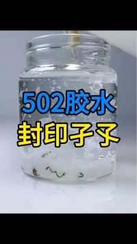 把一瓶502胶水倒入孑孓缸里，还能进化成蚊子吗？