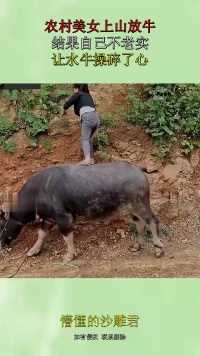 农村美女上山放牛，结果自己不老实，让水牛操碎了心！