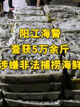 18人被抓！阳江海警查获5万余斤涉嫌非法捕捞海鲜