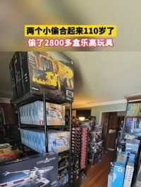 两个小偷合起来110岁了，偷了2800多盒乐高玩具 #乐高大盗 #乐高
